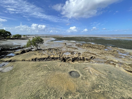 Rock carvings join heritage register